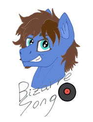 Size: 2921x3846 | Tagged: safe, artist:summerium, imported from derpibooru, oc, oc only, oc:bizarre song, pony, bust, cutie mark, ear fluff, male, mixed media, portrait, smiling, solo, stallion, text