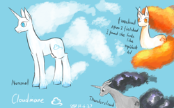 Size: 1000x618 | Tagged: safe, artist:sunnytp, deleted from derpibooru, imported from derpibooru, oc, oc:cloudmane, pony, unicorn, cloud mane, reference sheet, solo