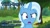Size: 1024x576 | Tagged: safe, edit, imported from derpibooru, trixie, pony, unicorn, best pony, confused, female, forest, image macro, meme, pine forest, question, solo, talking to viewer, text, tree