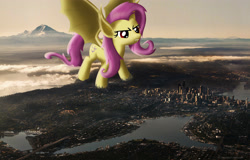 Size: 3840x2450 | Tagged: safe, artist:flutterbatismagic, imported from derpibooru, fluttershy, bat pony, pony, vampire, aerial view, angry, city, destruction, female, flutterbat, giant ponies in real life, giant pony, irl, macro, macro/micro, photo, photomanipulation, ponies in real life, race swap, seattle, sunset