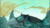 Size: 853x480 | Tagged: safe, edit, edited screencap, imported from derpibooru, screencap, queen chrysalis, changeling, changeling queen, to where and back again, animated, chrysalis encounters heroes, darkwing duck, disney, duck tales, duck tales 2017, ducktales, ducktales 2017, female, former queen chrysalis, gif, megavolt, meme, photo, quackerjack