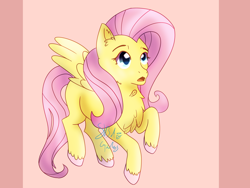 Size: 3264x2448 | Tagged: safe, artist:8bitgalaxy, imported from derpibooru, fluttershy, pegasus, pony, female, mare, simple background, solo