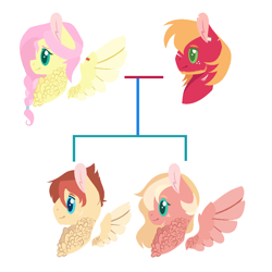 Size: 1092x1092 | Tagged: safe, artist:onedayhm, imported from derpibooru, big macintosh, fluttershy, oc, oc:honeycrisp, oc:plumeria breeze, earth pony, pegasus, pony, alternate hairstyle, base used, beard, braid, chest fluff, facial hair, family tree, female, fluttermac, freckles, male, mare, offspring, parent:big macintosh, parent:fluttershy, parents:fluttermac, scar, shipping, simple background, stallion, straight, torn ear, white background