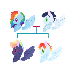 Size: 1232x1224 | Tagged: safe, artist:onedayhm, imported from derpibooru, rainbow dash, soarin', oc, oc:firelight cloud, oc:neon ray, pegasus, pony, base used, chest fluff, family tree, female, male, mare, offspring, parent:rainbow dash, parent:soarin', parents:soarindash, shipping, simple background, soarindash, stallion, straight, white background