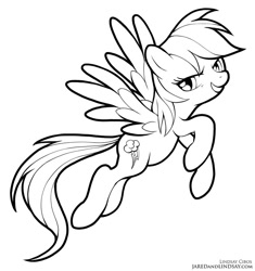 Size: 752x800 | Tagged: safe, artist:lindsay cibos, imported from derpibooru, rainbow dash, pegasus, pony, black and white, female, flying, grayscale, grin, looking at you, mare, monochrome, simple background, smiling, solo, white background