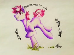 Size: 2560x1920 | Tagged: safe, artist:uliovka, imported from derpibooru, oc, oc only, oc:basura, pony, solo, traditional art