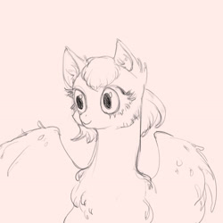 Size: 2894x2894 | Tagged: dead source, safe, artist:php53, imported from derpibooru, oc, oc only, pegasus, pony, commission, female, sketch, solo