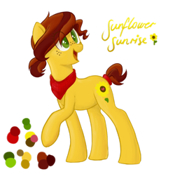 Size: 1024x1016 | Tagged: safe, artist:vampteen83, imported from derpibooru, oc, oc only, oc:sunflower sunrise, earth pony, pony, female, mare, reference sheet, simple background, solo, transparent background