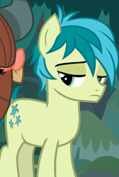 Size: 428x638 | Tagged: safe, imported from derpibooru, screencap, sandbar, earth pony, pony, non-compete clause, cropped, male, sandbar is not amused, solo