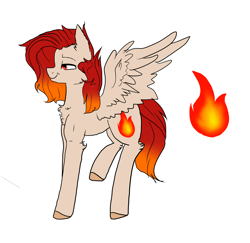 Size: 4266x4145 | Tagged: safe, artist:pinkgalaxy56, imported from derpibooru, oc, oc only, oc:fire spell, pegasus, pony, absurd resolution, eyestrain warning, male, simple background, solo, stallion, white background