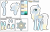 Size: 4076x2600 | Tagged: safe, artist:cindydreamlight, artist:cindystarlight, imported from derpibooru, oc, oc only, oc:star frost, pegasus, pony, female, mare, reference sheet, simple background, solo, transparent background, two toned wings