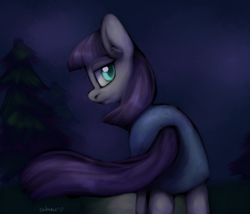 Size: 916x784 | Tagged: safe, artist:shibaroll, imported from derpibooru, maud pie, pony, clothes, dress, female, looking back, mare, night, solo, tree