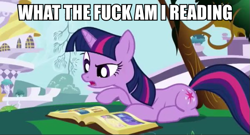 Size: 599x323 | Tagged: safe, edit, edited screencap, imported from derpibooru, screencap, twilight sparkle, pony, unicorn, friendship is magic, book, book of harmony, female, image macro, mare, meme, reaction image, reading, solo, swearing, unicorn twilight, vulgar, what the fuck am i reading