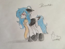 Size: 1024x768 | Tagged: safe, artist:summersstarsepos643, imported from derpibooru, oc, oc only, oc:beatz, pegasus, pony, female, mare, solo, traditional art