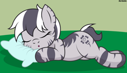 Size: 5000x2882 | Tagged: safe, artist:an-tonio, imported from derpibooru, oc, oc only, oc:florida, pony, zebra, eyes closed, female, pillow, sleeping, solo, vector, zebra oc