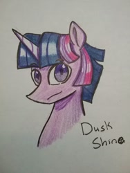 Size: 966x1288 | Tagged: safe, artist:ponime11, imported from derpibooru, twilight sparkle, pony, bust, dusk shine, male, portrait, rule 63, solo, stallion, traditional art