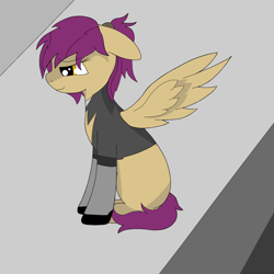 Size: 1200x1200 | Tagged: safe, imported from derpibooru, oc, oc only, oc:fiely, pony, clothes, female, firealpaca, ponytail, sitting, socks, solo, spread wings, wings