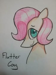 Size: 966x1288 | Tagged: safe, artist:ponime11, imported from derpibooru, fluttershy, pony, bust, butterscotch, male, portrait, rule 63, solo, stallion, traditional art