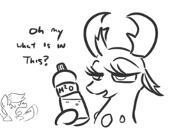 Size: 492x365 | Tagged: safe, artist:jargon scott, imported from derpibooru, thorax, changedling, changeling, pony, alex jones, angry, bedroom eyes, bottle, bust, dialogue, duo, frown, girly, glare, grayscale, hoof hold, king thorax, lidded eyes, lineart, male, monochrome, open mouth, ponified, simple background, smiling, stallion, tongue out, water, white background, yelling