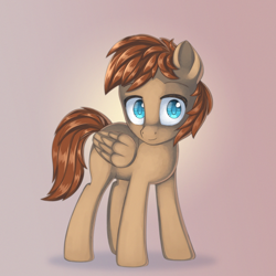 Size: 2000x2000 | Tagged: safe, artist:anonbelle, imported from derpibooru, oc, oc only, oc:atlas, pegasus, pony, commission