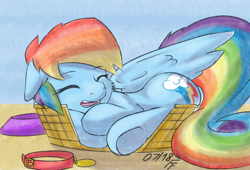 Size: 2200x1500 | Tagged: safe, artist:frecklesfanatic, imported from derpibooru, rainbow dash, pegasus, pony, basket, behaving like a cat, behaving like a dog, collar, cute, dashabetes, pet bowl, sleeping