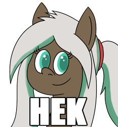 Size: 700x750 | Tagged: safe, artist:b-cacto, imported from derpibooru, oc, oc only, oc:lynn, pony, bust, heck, ponytail, simple background, smiling, solo, transparent background