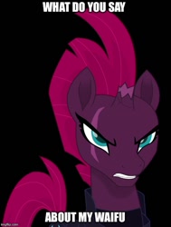 Size: 500x660 | Tagged: safe, edit, imported from derpibooru, tempest shadow, pony, my little pony: the movie, angry, black background, eye scar, female, mare, reaction image, scar, simple background, solo, text