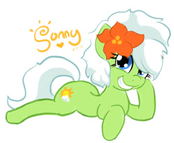 Size: 770x636 | Tagged: safe, artist:moronsonofboron, imported from derpibooru, oc, oc only, oc:sunny nebels, pony, flower, flower in hair, looking at you, simple background, smiling, solo