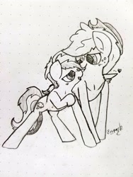 Size: 3024x4032 | Tagged: safe, artist:ezupack, imported from derpibooru, applejack, rainbow dash, appledash, bedroom eyes, blushing, cuddling, cute, female, lesbian, shipping, sketch, wing blanket