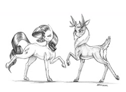 Size: 1400x1022 | Tagged: safe, artist:baron engel, imported from derpibooru, rarity, velvet reindeer, unicorn, them's fightin' herds, cloven hooves, dock, female, grayscale, mare, monochrome, pencil drawing, raised hoof, simple background, sketch, smiling, traditional art, velvet (tfh), white background