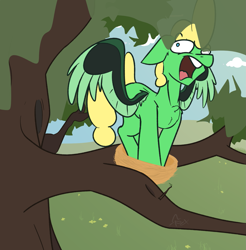 Size: 1469x1493 | Tagged: safe, artist:omegapex, imported from derpibooru, oc, oc only, oc:omega, bird pone, pegasus, pony, behaving like a bird, big hair, bird nest, majestic as fuck, male, nest, nesting instinct, partially open wings, redraw, solo, tree, tree branch, wings, yelling