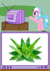 Size: 564x800 | Tagged: safe, imported from derpibooru, aloe, aloe plant, aloe vera, exploitable meme, female, meme, television, tv meme