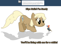 Size: 1280x960 | Tagged: safe, artist:sintakhra, imported from derpibooru, mjölna, earth pony, pony, ask sandy pony, female, mare, simple background, solo, white background, woodpecker