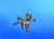 Size: 2357x1692 | Tagged: safe, artist:arcanetesla, imported from derpibooru, oc, oc only, oc:arcane tesla, fish, peeper (subnautica), pony, unicorn, air bubble, air tank, bubble, clothes, crossover, digital art, diving, diving suit, gradient background, horn, oxygen tank, signature, solo, subnautica, swimming, swimsuit, underwater, video game crossover