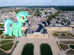 Size: 3344x2508 | Tagged: safe, artist:jerryakira79, artist:kooner-cz, imported from derpibooru, lyra heartstrings, pony, unicorn, female, giant pony, highrise ponies, irl, macro, photo, ponies in real life