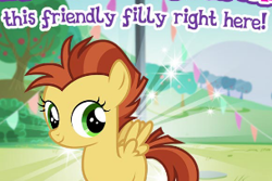 Size: 304x203 | Tagged: safe, imported from derpibooru, pegasus, pony, cropped, foal, gameloft, meme, solo, wow! glimmer