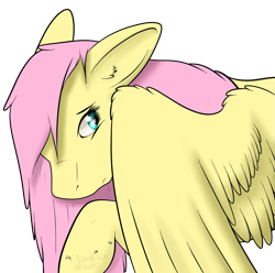 Size: 1587x1575 | Tagged: safe, artist:fauxheaux, imported from derpibooru, fluttershy, pegasus, pony, bust, covering, female, looking away, looking back, looking sideways, mare, raised hoof, shy, simple background, solo, transparent background, wing covering