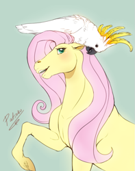 Size: 629x798 | Tagged: safe, artist:patsuko, imported from derpibooru, fluttershy, bird, cockatoo, pony, animal, commission, duo, female, green background, mare, realistic, realistic horse legs, signature, simple background