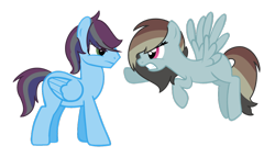 Size: 1024x587 | Tagged: safe, artist:crystalponyart7669, imported from derpibooru, oc, oc only, oc:cloud sweeper, oc:rainbow cloud, pegasus, pony, female, male, mare, offspring, parent:rainbow dash, parent:soarin', parents:soarindash, simple background, stallion, transparent background