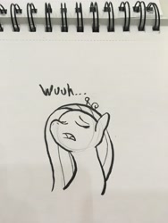Size: 4032x3024 | Tagged: safe, artist:slamjam, imported from derpibooru, princess cadance, pony, bronycon, female, meme, solo, traditional art, wuuh