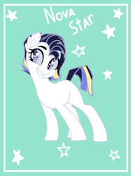 Size: 1024x1370 | Tagged: safe, artist:cakewits, imported from derpibooru, oc, oc only, oc:nova star, earth pony, pony, female, mare, solo, starry eyes, wingding eyes