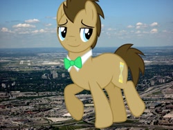 Size: 1024x768 | Tagged: safe, artist:jerryakira79, imported from derpibooru, doctor whooves, time turner, earth pony, pony, giant doctor whooves, giant pony, highrise ponies, irl, macro, male, photo, ponies in real life