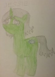 Size: 1571x2180 | Tagged: safe, artist:jerryakira79, imported from derpibooru, oc, oc only, oc:jessie, unicorn, female, traditional art