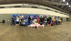 Size: 2048x1198 | Tagged: safe, artist:atalonthedeer, imported from derpibooru, fluttershy, pinkie pie, princess celestia, scootaloo, songbird serenade, twilight sparkle, oc, oc:crescent star, oc:echo, oc:electuroo, oc:fluffle puff, oc:google chrome, alicorn, crystal pony, earth pony, pegasus, pony, bronycon, my little pony: the movie, browser ponies, cpr, crystal unicorn, dab, furry, fursuit, google chrome, group, irl, kneeling, lying down, needs tags, photo, pose, praise the sun, real, twilight sparkle (alicorn)