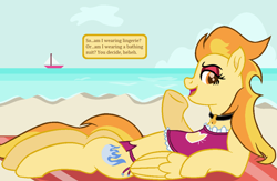 Size: 1170x764 | Tagged: safe, artist:peregrinstaraptor, imported from derpibooru, oc, oc only, oc:wyldfyre, pegasus, pony, beach, bell, bell collar, boat, bra, cat lingerie, clothes, collar, female, lingerie, mare, ocean, on back, panties, solo, swimsuit, underwear