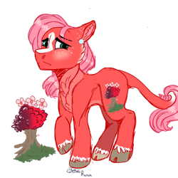 Size: 768x768 | Tagged: safe, artist:tendraflame69, imported from derpibooru, oc, oc only, oc:cherry tree, pony, blaze (coat marking), cloven hooves, coat markings, facial markings, leonine tail, male, offspring, parent:big macintosh, parent:fluttershy, parents:fluttermac, simple background, solo, stallion, unshorn fetlocks, white background