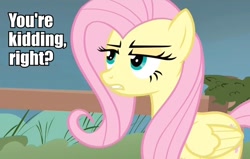 Size: 848x540 | Tagged: safe, edit, edited screencap, imported from derpibooru, screencap, fluttershy, pegasus, pony, putting your hoof down, female, image macro, lidded eyes, mare, meme, solo, unamused