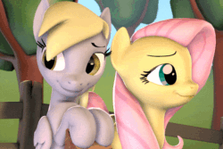 Size: 720x480 | Tagged: safe, artist:hellhounds04, imported from derpibooru, derpy hooves, fluttershy, pegasus, pony, 3d, animated, cheek kiss, cute, derpabetes, derpyshy, duo, female, kiss on the cheek, kissing, lesbian, mare, scrunchy face, shipping, shyabetes, source filmmaker, surprise kiss, surprised
