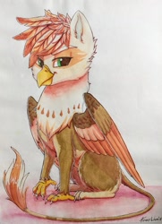 Size: 1600x2213 | Tagged: safe, artist:penny-wren, imported from derpibooru, oc, oc only, oc:ember burd, griffon, eared griffon, griffon oc, simple background, sitting, solo, traditional art, watercolor painting, white background