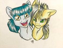 Size: 1024x768 | Tagged: safe, artist:tillie-tmb, imported from derpibooru, oc, oc only, oc:meadow lark, oc:tempest, earth pony, pony, unicorn, bust, female, mare, portrait, traditional art
